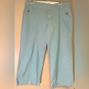 Weathervane wide leg Crop Pants Capris Size 11 Robin’s Egg Blue with pockets